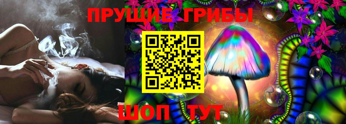 Псилоцибиновые грибы GOLDEN TEACHER Лянтор