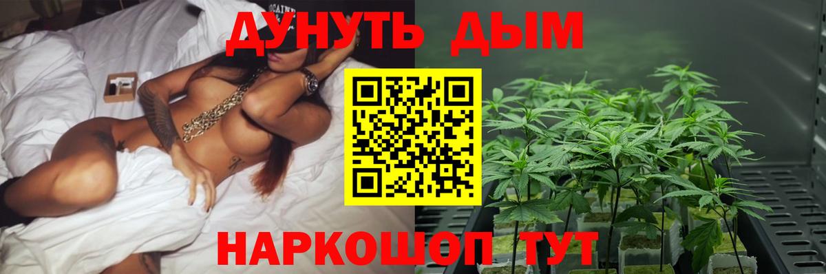 Каннабис White Widow  Бошки марихуана конопля  Вход с VPN  Каннабис конопля  Лянтор 